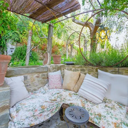 Spacious In With Private Pool *